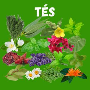 Tés